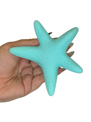 Starfish : Aqua Blue